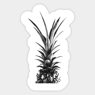 Ananas Sticker